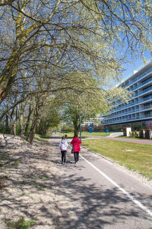 Apartament Z Widokiem Na Morze Seaside 208 Al-Dom 科沃布热格 外观 照片
